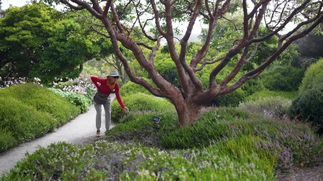 A mature woman explores Mendocino Coastal Botanical Gardens in Fort Bragg, California, admiring flowers and nature.
