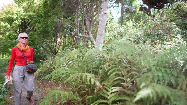 A senior woman walks through Mendocino Coastal Botanical Gardens in Fort Bragg California looking at plants and enjoying her visit