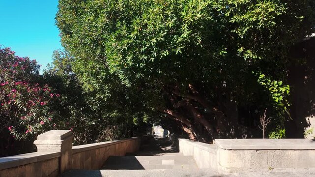 Tourist perspective walking down stone steps toward historic Dubrovnik, Croatia, passing ancient city walls and oleander bushes with scenic views of the Old Town.