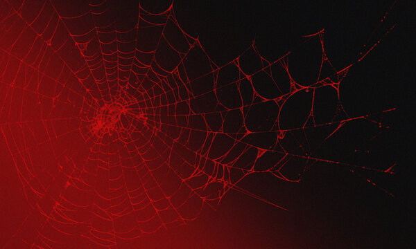 A detailed spider web glowing in vibrant red against a dark, moody background