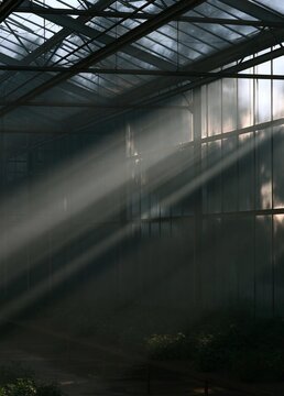 The interior of a large industrial building with a high ceiling made of metal beams and glass panels.