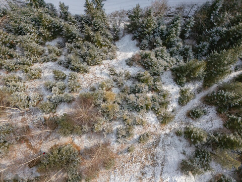 Aerial view of old copper mine dumps in Svatodusna dolina covered in light snow with evergreen trees and forest trails in Lubietova, Banska Bystrica Regio, Slovakia.