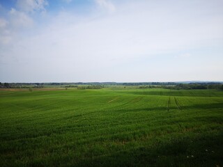 Obraz premium Expansive green cultivated fields stretch across a gently rolling rural landscape beneath a bright cloudy spring sky