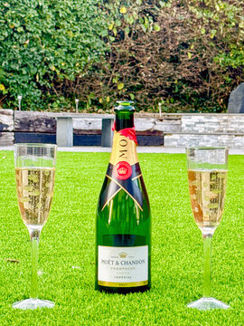 Cardiff, Wales, UK - 12 August 2026: Open bottle of Moet et Chandon champagne and two full flute glasses on a lawn in a garden