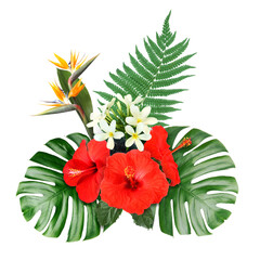 Hibiscus, strelitzia and plumeria flowers with green tropical leaves in floral composition on white background © New Africa