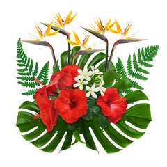 Tropical floral composition with red hibiscus, strelitzia and plumeria flowers on white background © New Africa