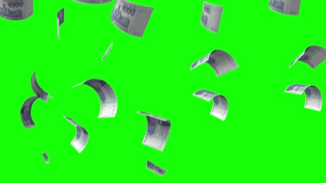 Pakistani currency falling from upside, 1000 rupees notes falling down, animated video on green screen, chroma key, 4k video
