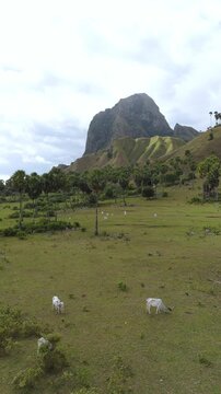 Aerial view of Nuca Molas peak rising above lush green hills and tropical vegetation in Satar Mese Barat, East Nusa Tenggara, Indonesia.