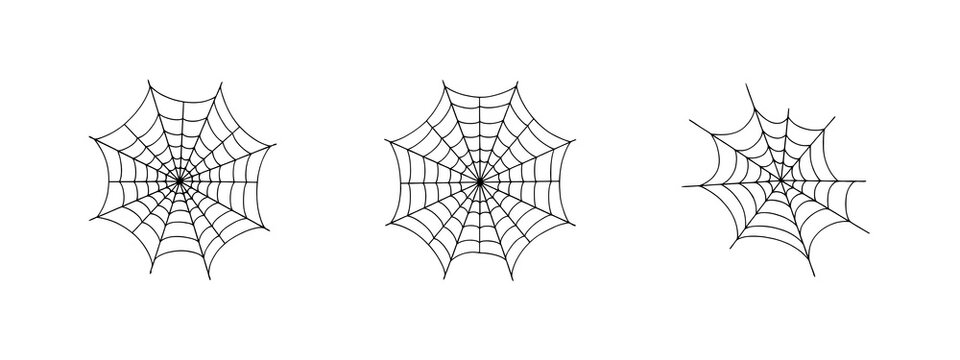 Set of three black spider web with radial patterns isolated on a white background, for halloween themed work