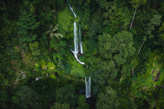 Aerial view of Tiu Kelep Waterfall cascading through dense tropical rainforest with lush green foliage and natural pools in Bayan, West Nusa Tenggara, Indonesia.
