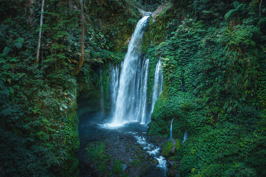 Aerial view of Tiu Kelep Waterfall cascading down into a rocky pool surrounded by lush tropical rainforest and dense green vegetation in Bayan, West Nusa Tenggara, Indonesia.