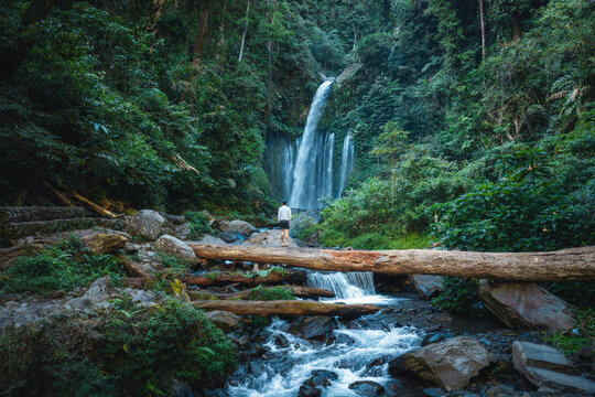 View of Tiu Kelep Waterfall surrounded by lush tropical forest with a person standing on a log bridge over the river in Bayan, West Nusa Tenggara, Indonesia.