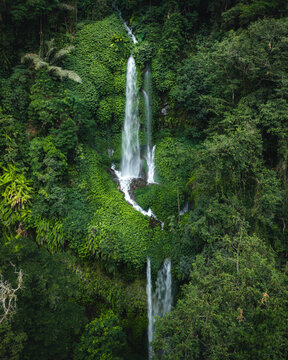 Aerial view of Tiu Kelep Waterfall cascading down through a dense tropical rainforest with lush green foliage and rocky cliffs in Bayan, West Nusa Tenggara, Indonesia.