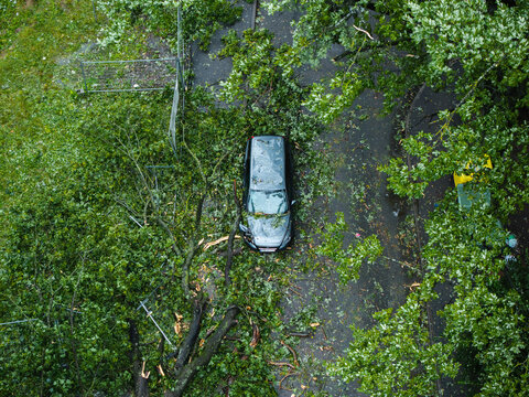 Aerial view of a car crushed by fallen trees on a city street following a severe storm in Riga, Latvia.