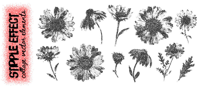 Stipple halftone flower set, distressed botanical blossoms in sandy dust effect, stems and petals with grainy photocopy texture. Monochrome floral for collage, poster and printmaking design. Vector