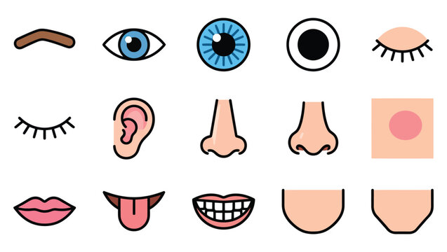 A collection of colorful vector icons representing each distinct human body part including eyes ears nose mouth and chin