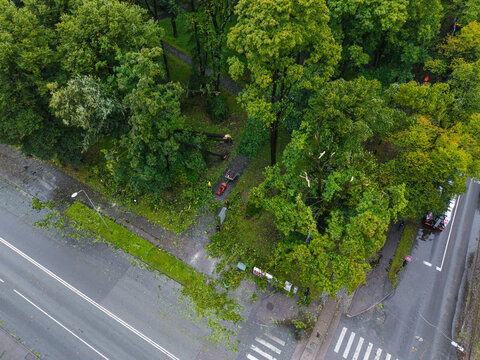 Aerial view of fallen trees and storm damage in a park area following a cyclone in Riga, Latvia.