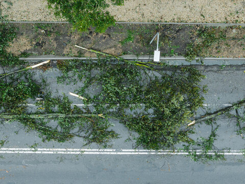Aerial view of fallen trees blocking a road after a severe storm in Riga, Latvia.