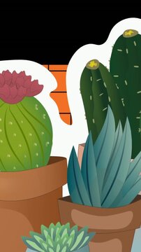 Animation of cactus icons over shapes on black backrgound
