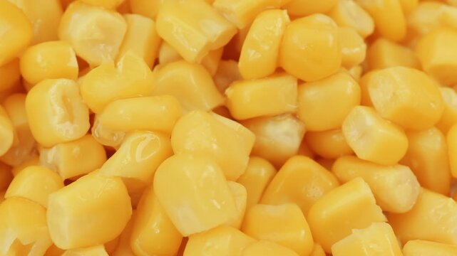 Sweetcorn corn kernels macro close up presentation slowly rotating stock footage