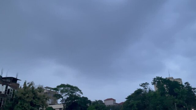 Moody Blue Storm Clouds Rolling Across the Sky Above Treetops