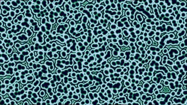 Cellular Pattern: A close-up abstract view of microscopic cellular structures, showcasing a complex network of organic shapes and patterns in shades of cyan and black.