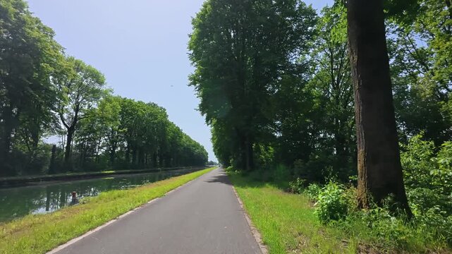 POV shot cycling on a beautiful tree-lined path next to a canal on a sunny summer day.