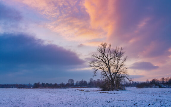 Abendstimmung im Weilheimer Moos im Winter, Weilheim, Bayern, Deutschland, Europa