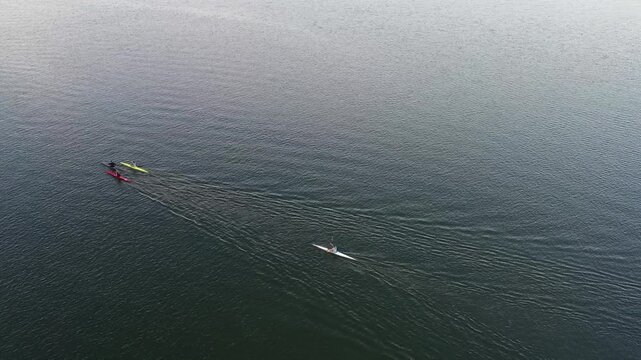 Aerial view of three kayaks paddling across the calm water in Cape Town, Western Cape, South Africa.