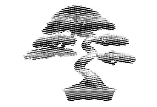 bonsai tree plant halftone botanical pot branches foliage japanese zen vector illustration graphic nature gardening vintage retro print