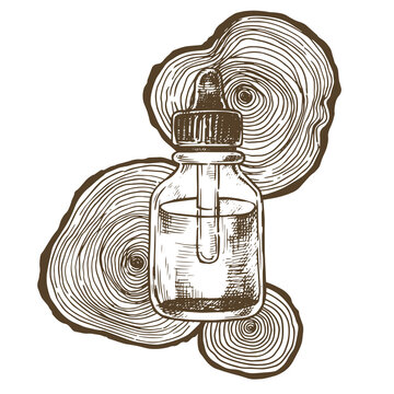 jar with wood essential oil. aromatherapy, medicine. vector illustration in sketch style