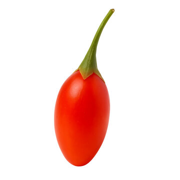 Single red goji berry with stem