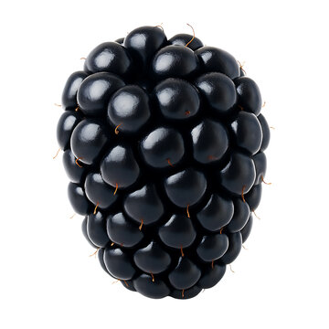 Ripe blackberry fruit closeup shot