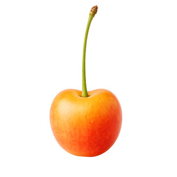 Yellow cherry fruit with long stem