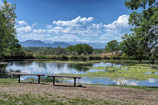 Park pond with the Colorado Rocky Mountains