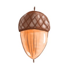 Acorn. Watercolor hand drawn illustration  © Alena