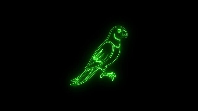 Single color green neon parrot outline on black background bird glowing 4k video.