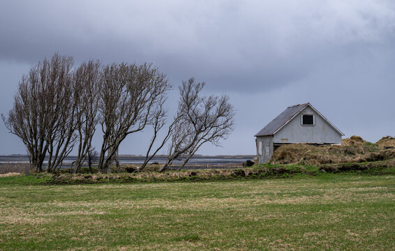 Farmhouse Old house near grassland with bare trees under gray sky in Iceland