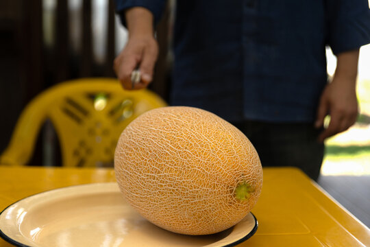 A ripe, oblong melon sits on a table. In the background, a man holds a knife in his hand, eagerly anticipating the melon he grew for himself. Countryside gardening.