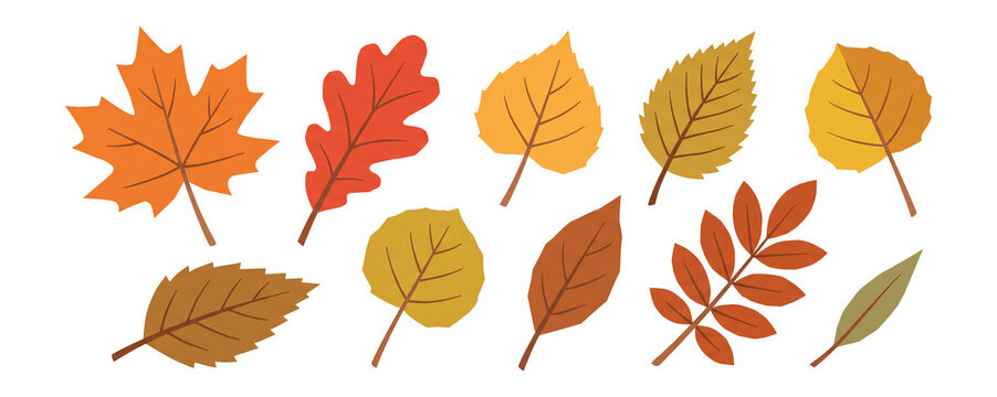 Autumn Leaves in Warm Flat Botanical Illustration Set