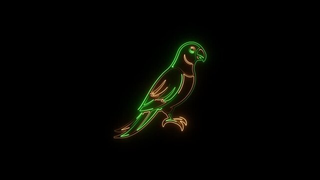 Neon parrot silhouette with orange and green glowing outline on black bird 4k video.