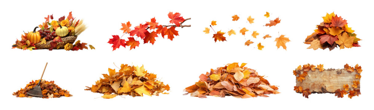 PNG Autumn leaves and decorations collection, transparent background