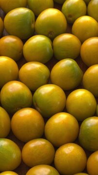 Green grape cherry tomatoes full frame background texture. Ripe homegrown, organic green heirloom tomatoes slowly rotating in a tight, high-angle top view with natural window light, vertical video.