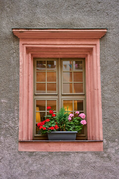 Wooden window framed by pink trim with colorful flowers in planter on textured facade