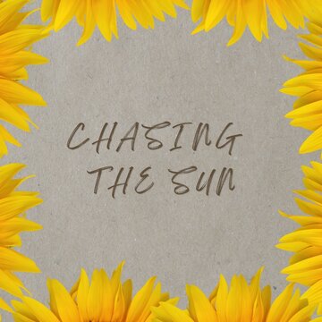 Chasing the sun inspirational quote with sunflower border on rustic background