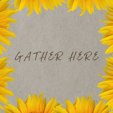 Gather here autumn quote card design with sunflower border
