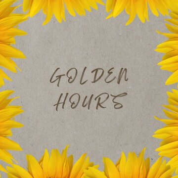 Golden hours autumn card design with bright sunflower border