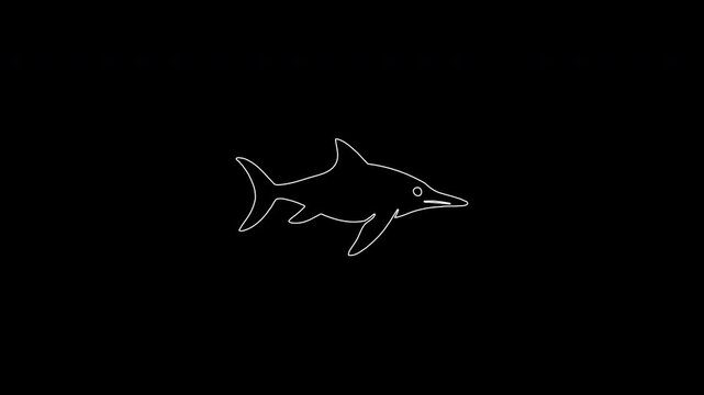 Self drawing ichthyosaur animation in continuous line art style