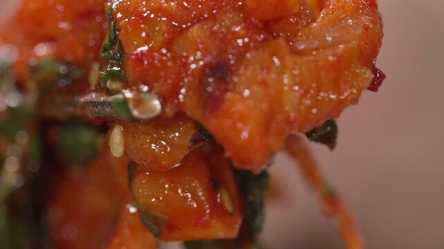 하모 갯장어 요리 샤브샤브 회무침 하모회 갯장어회 수산물 해산물 생선 어류 음식 식재료 제철음식 보양식 여름보양식 하모요리 갯장어요리 하모샤브샤브 갯장어샤브샤브 하모회무침 갯장어회무침 회 장어 장어로리