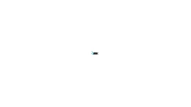 Small black beetle crawling on a white background.